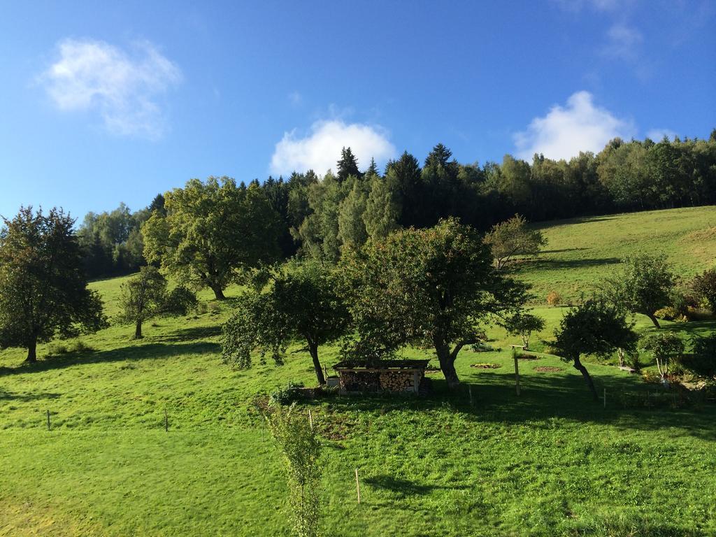 Le Floralp Aparthotel Combloux Kültér fotó