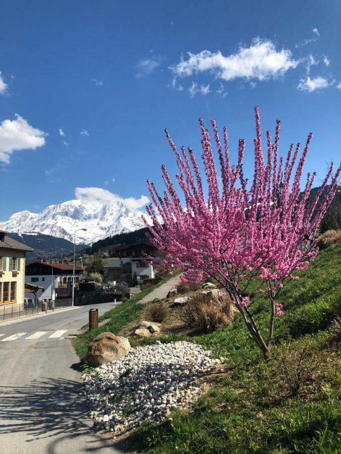 Le Floralp Aparthotel Combloux Kültér fotó